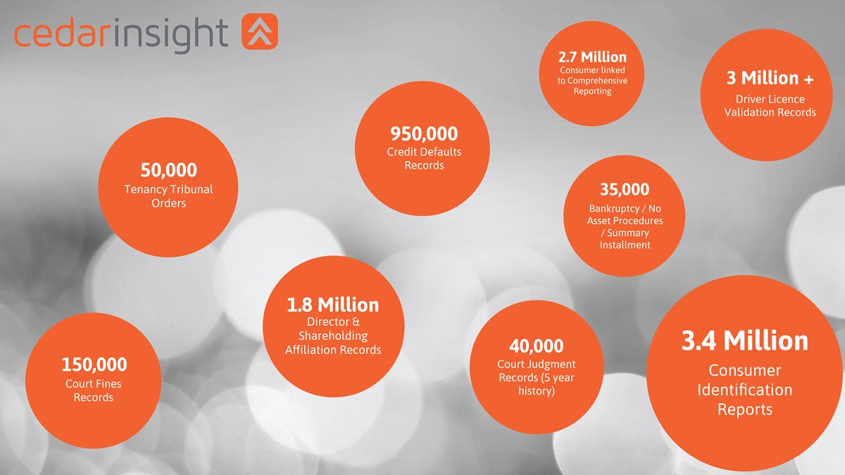 Cedarinsight Imageforweb 01